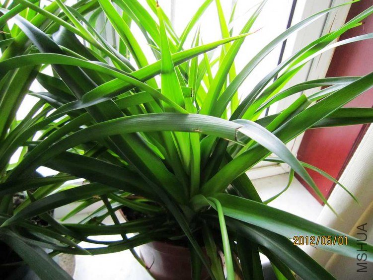 ������̨ (1).jpg