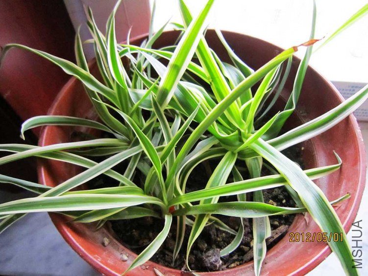 ������̨ (2).jpg