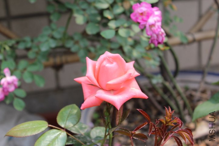 IMG_3191.JPG