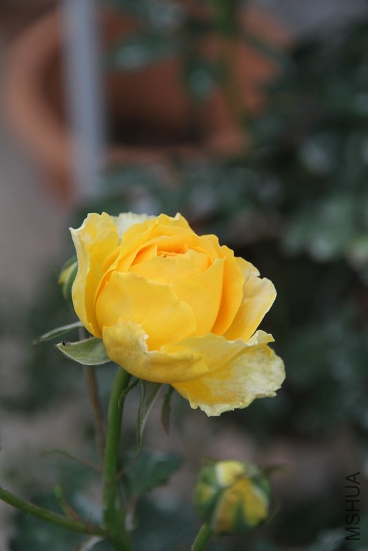 IMG_2759.JPG