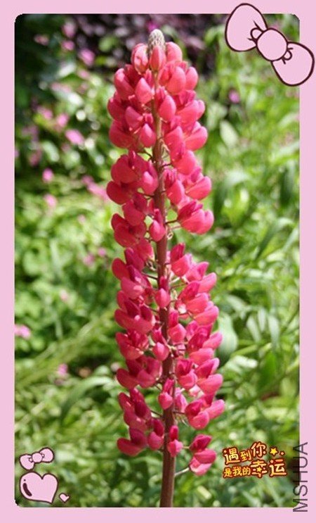 ��Ƭ 077_���� ��_��ת.jpg