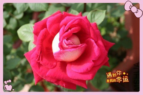 ��Ƭ 061_�����º�1_��ת.jpg