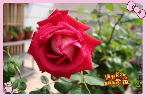 ��Ƭ 063_�����º�2.jpg