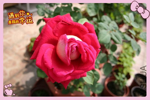 ��Ƭ 064_�����º�3.jpg