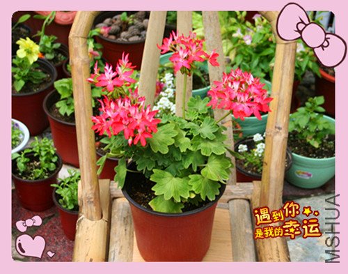 ��Ƭ 017_������˫1.jpg