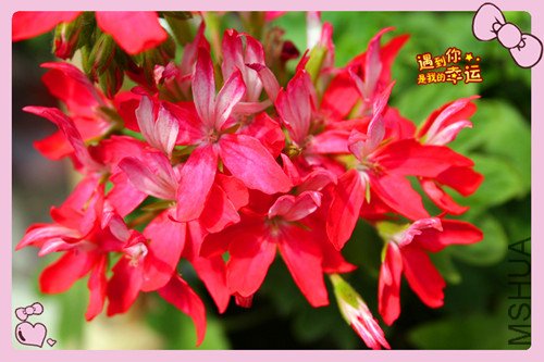 ��Ƭ 020_������˫3.jpg