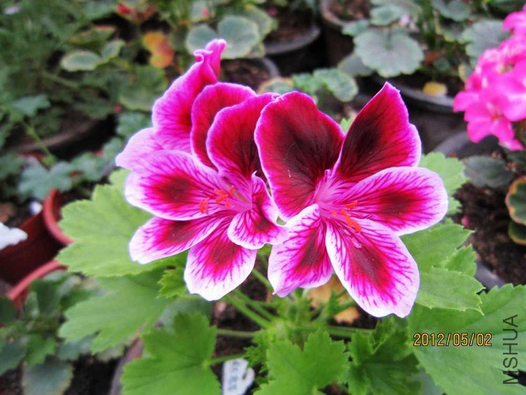 ����- �ž�2 (5).jpg