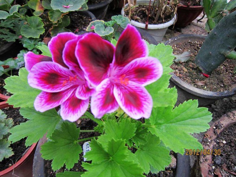 ����- �ž�2 (3).jpg