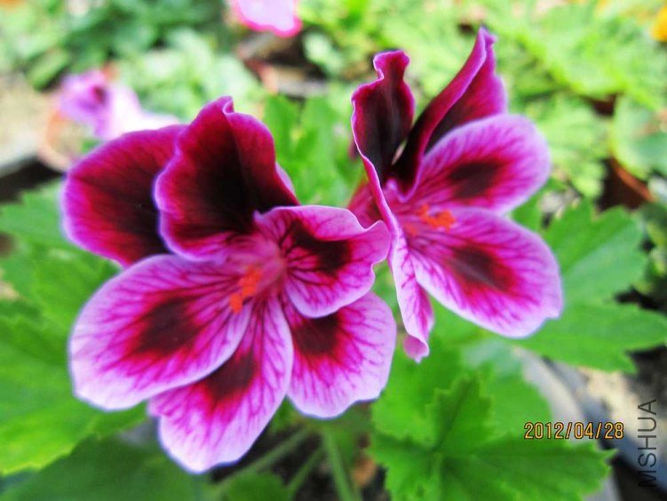 ����- �ž�2 (2).jpg