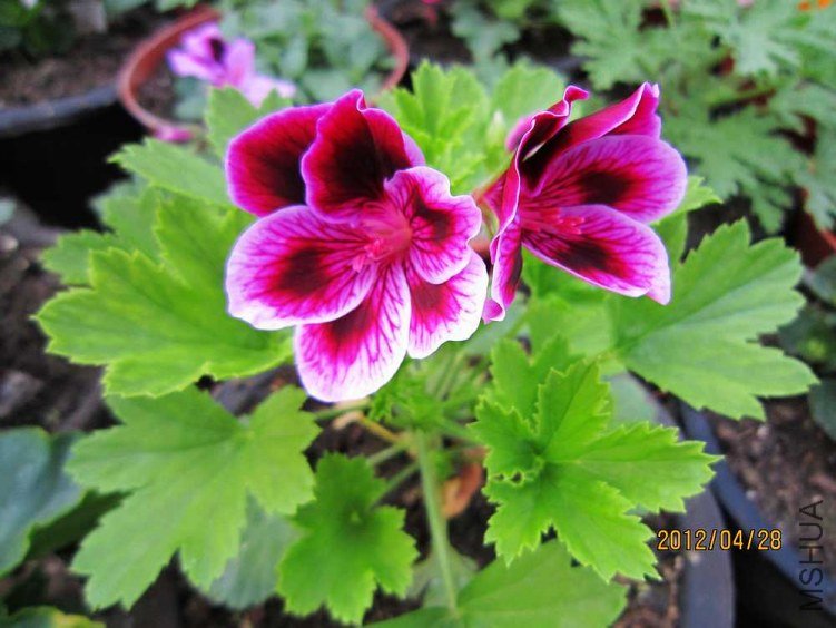 ����- �ž�2 (1).jpg