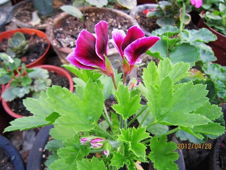 ����- �ž�2.jpg