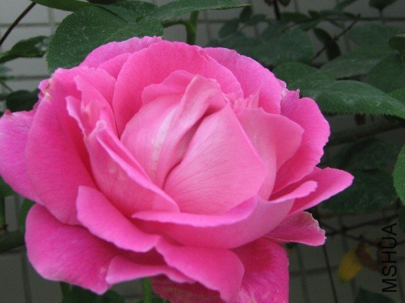 ĵ���¼�3 of ���� .JPG