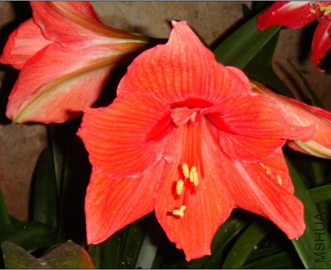 δ����9.jpg