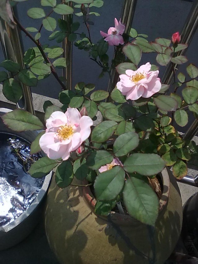 201205052405.jpg