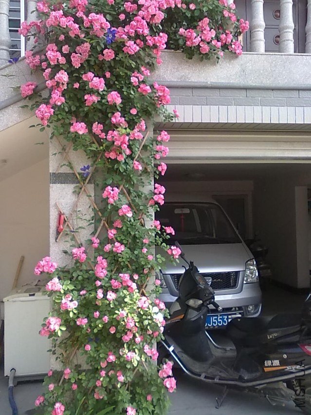 201205062422.jpg