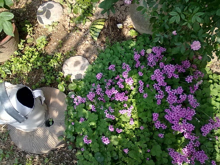 201205062425.jpg