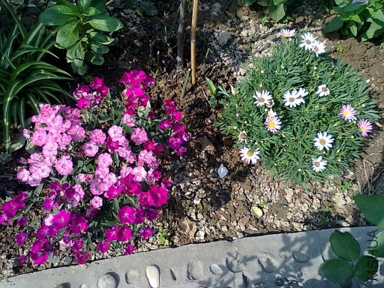 201205062429.jpg