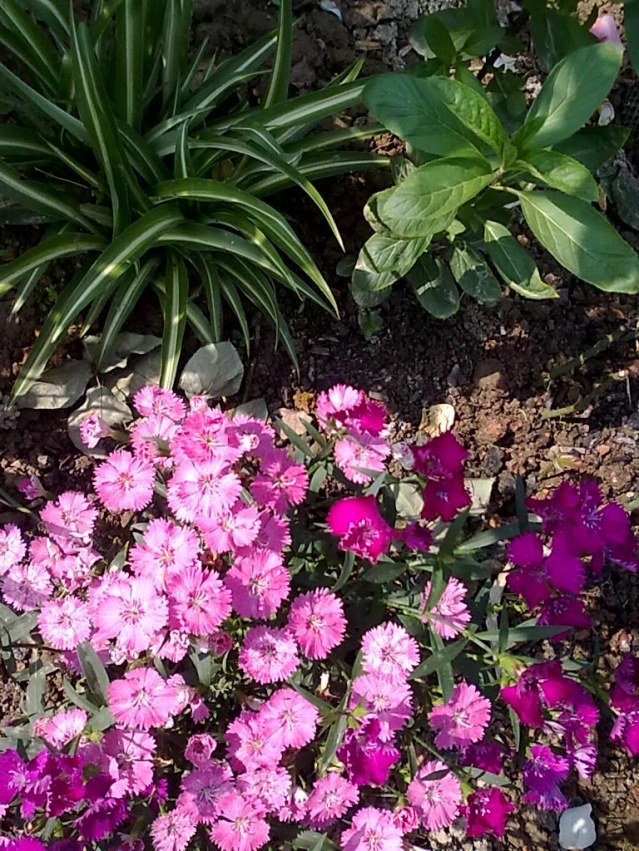 201205062430.jpg