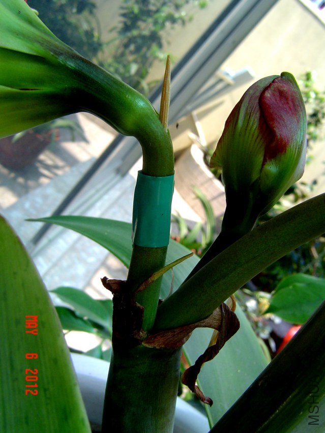DSC01427.jpg