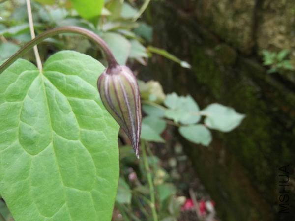 DSCF0793.jpg