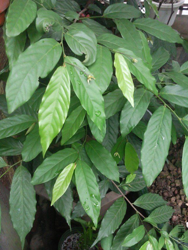 ��Ƭ0232.jpg