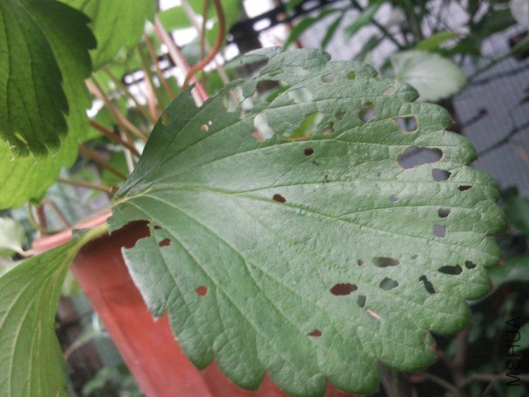 ��Ƭ0231.jpg