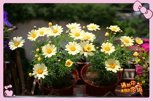 ��Ƭ 065_��������1.jpg