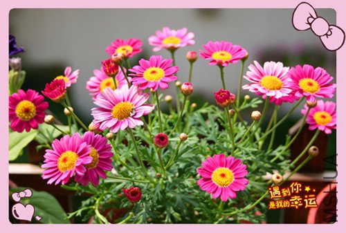 ��Ƭ 066_��������.jpg