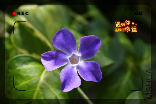 ��Ƭ 057_����Ҷ1.jpg