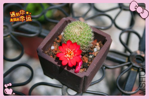 ��Ƭ 007_������2.jpg