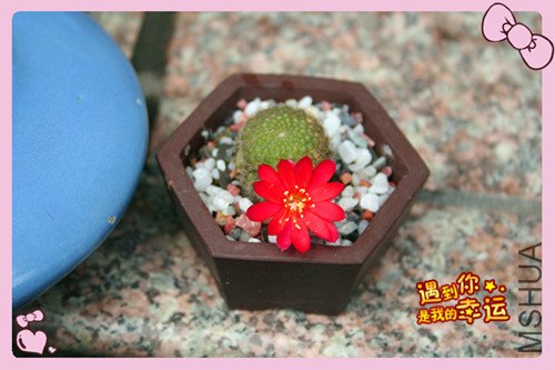 ��Ƭ 044_������3.jpg