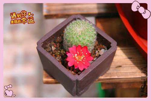 ��Ƭ 224_������1.jpg