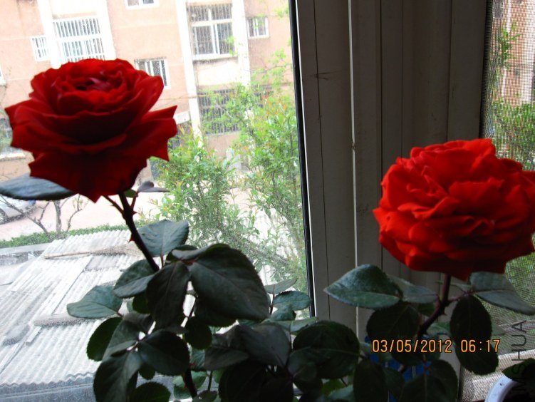 ��֪���¼�