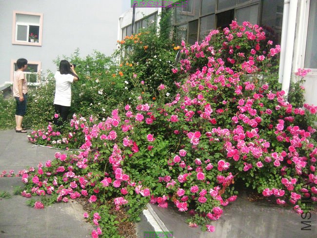 nEO_IMG_��Ƭ 012.jpg