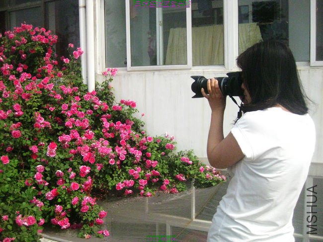 nEO_IMG_��Ƭ 010.jpg