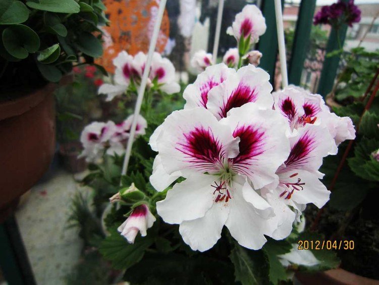 ����-�ʺ� (4).jpg