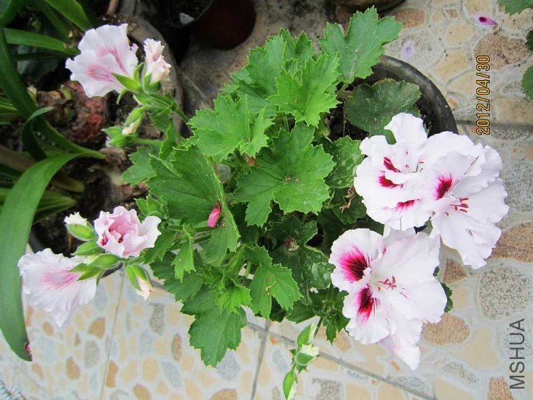 ����-�ʺ� (3).jpg