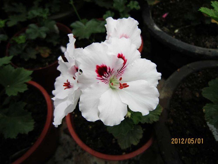 ����-���� (1).jpg