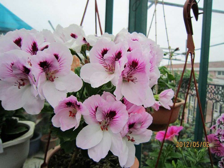 ����-��ɯ (6).jpg