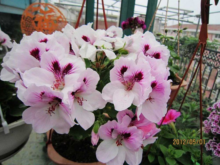 ����-��ɯ (4).jpg