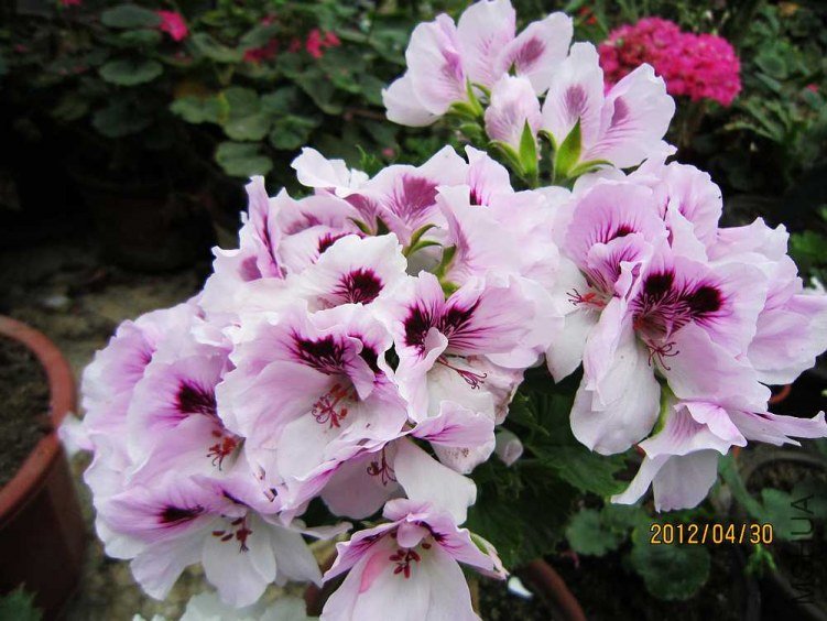 ����-��ɯ (2).jpg