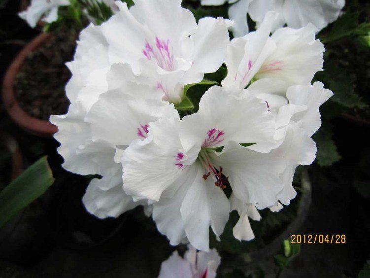 ����-���� (2).jpg