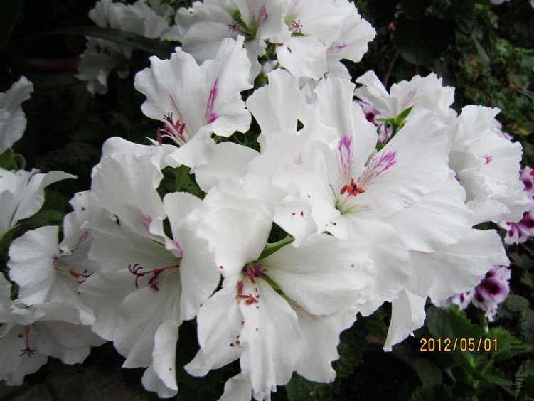 ����-���� (1).jpg