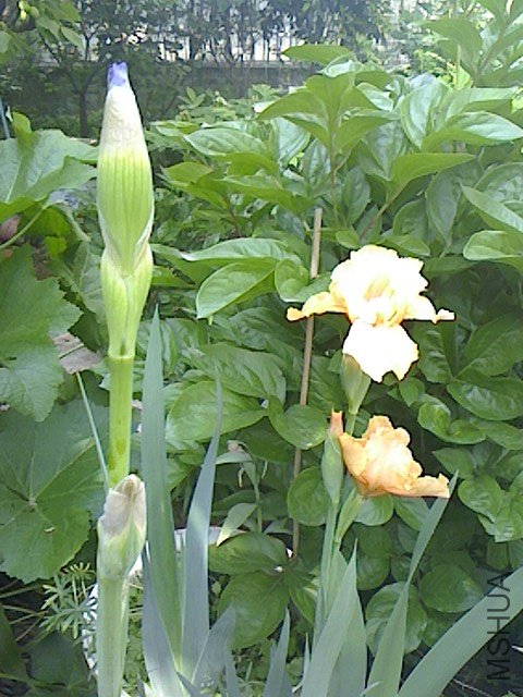 IMG0422084700.jpg
