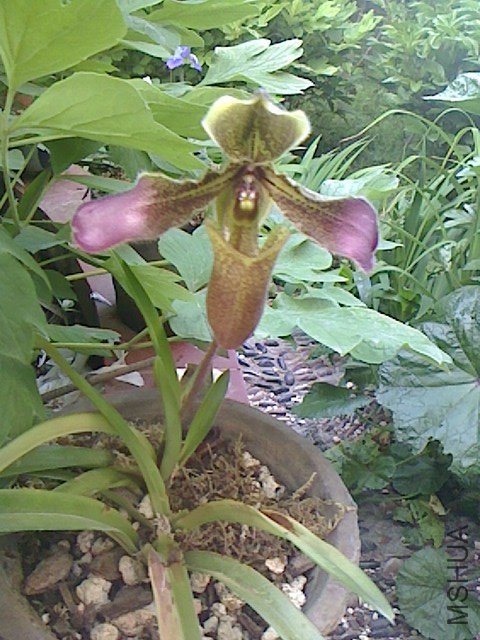 IMG0423062400.jpg