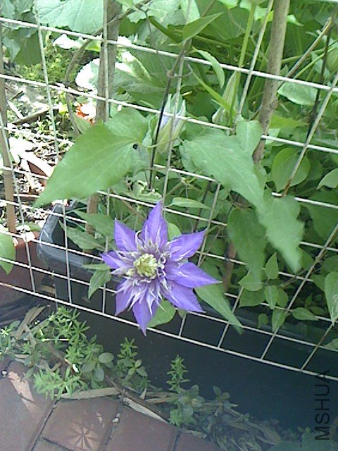 IMG0422084901.jpg