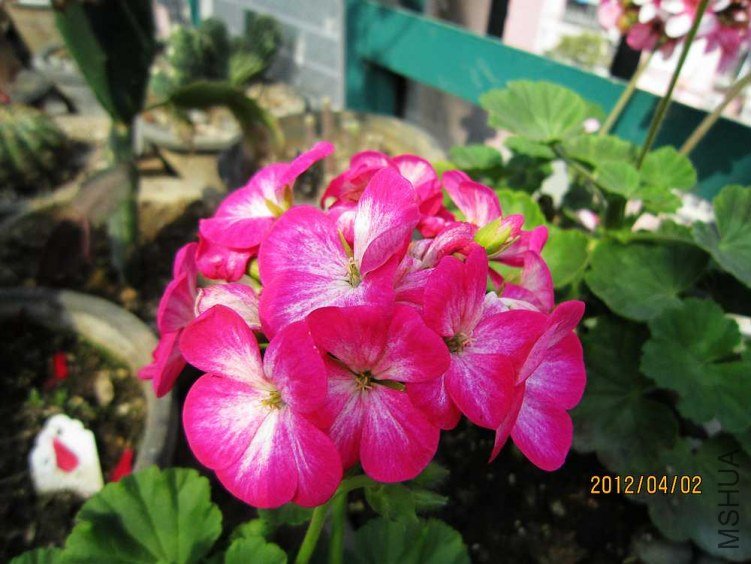 ֱ����-��֪��1 (1).jpg