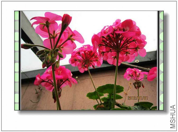 ֱ����-��֪��2 (3).jpg