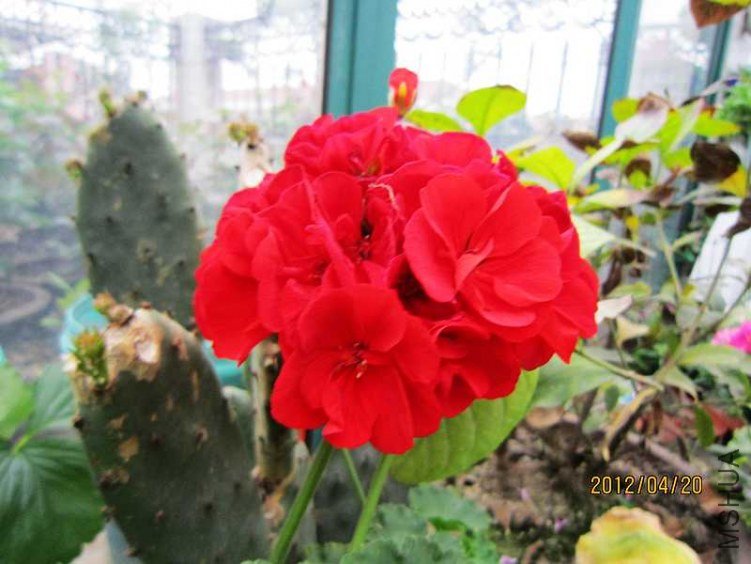 ֱ����-��֪��3 (1).jpg