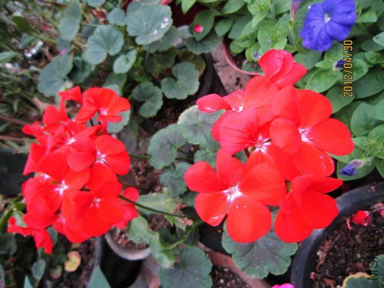 ֱ����-�Ŷ� (1).jpg